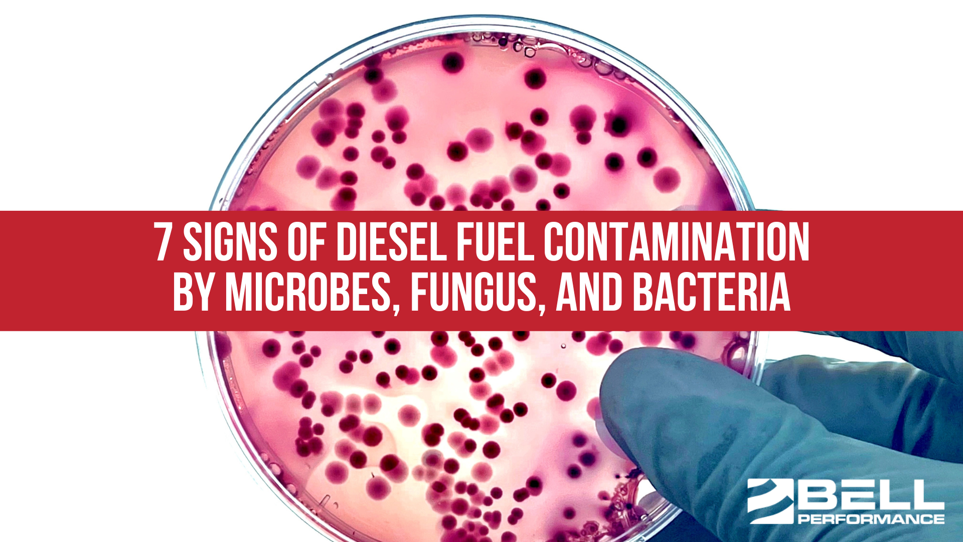 7 Signs of Diesel Fuel Contamination by Microbes, Fungus, and Bacteria