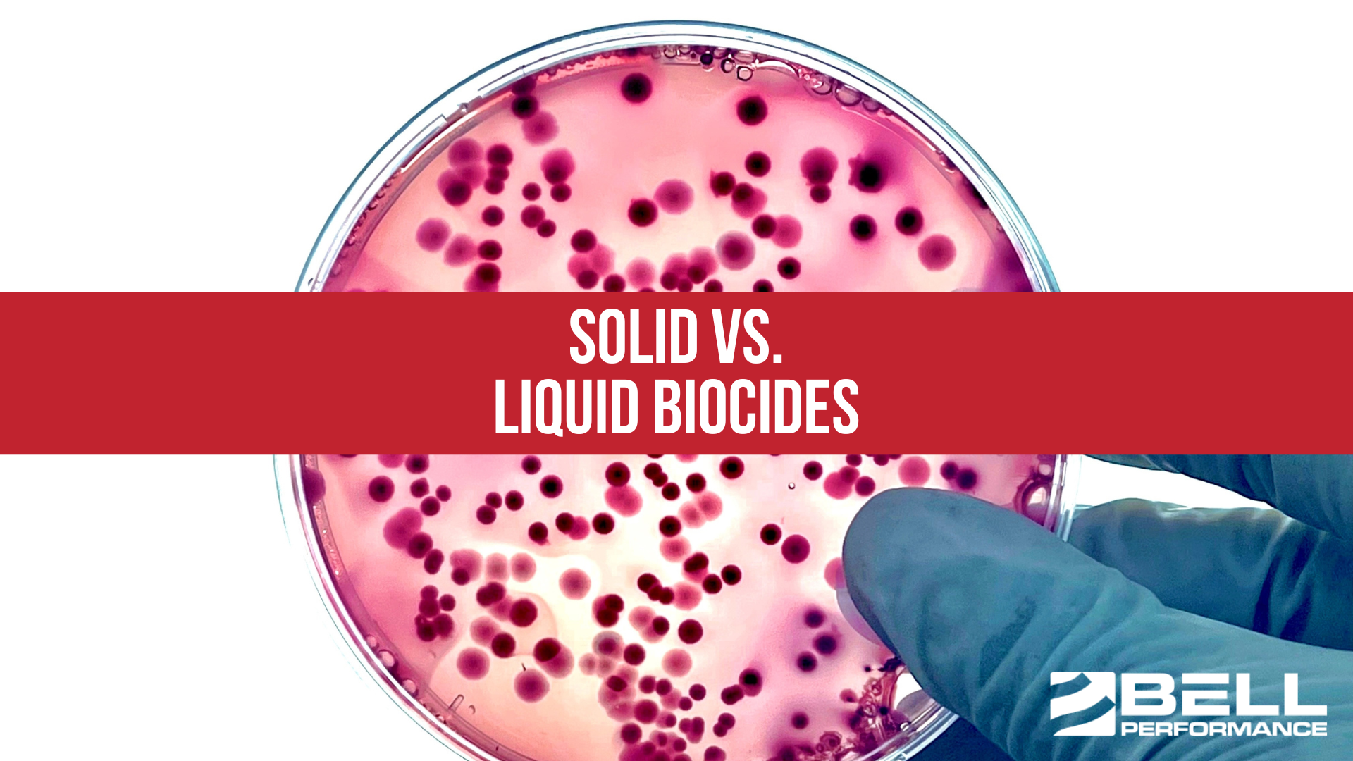 Solid vs. Liquid Biocides